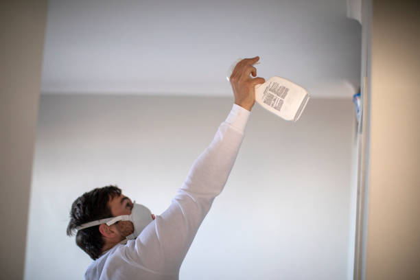 Best Emergency Mold Remediation in Rome City, IN